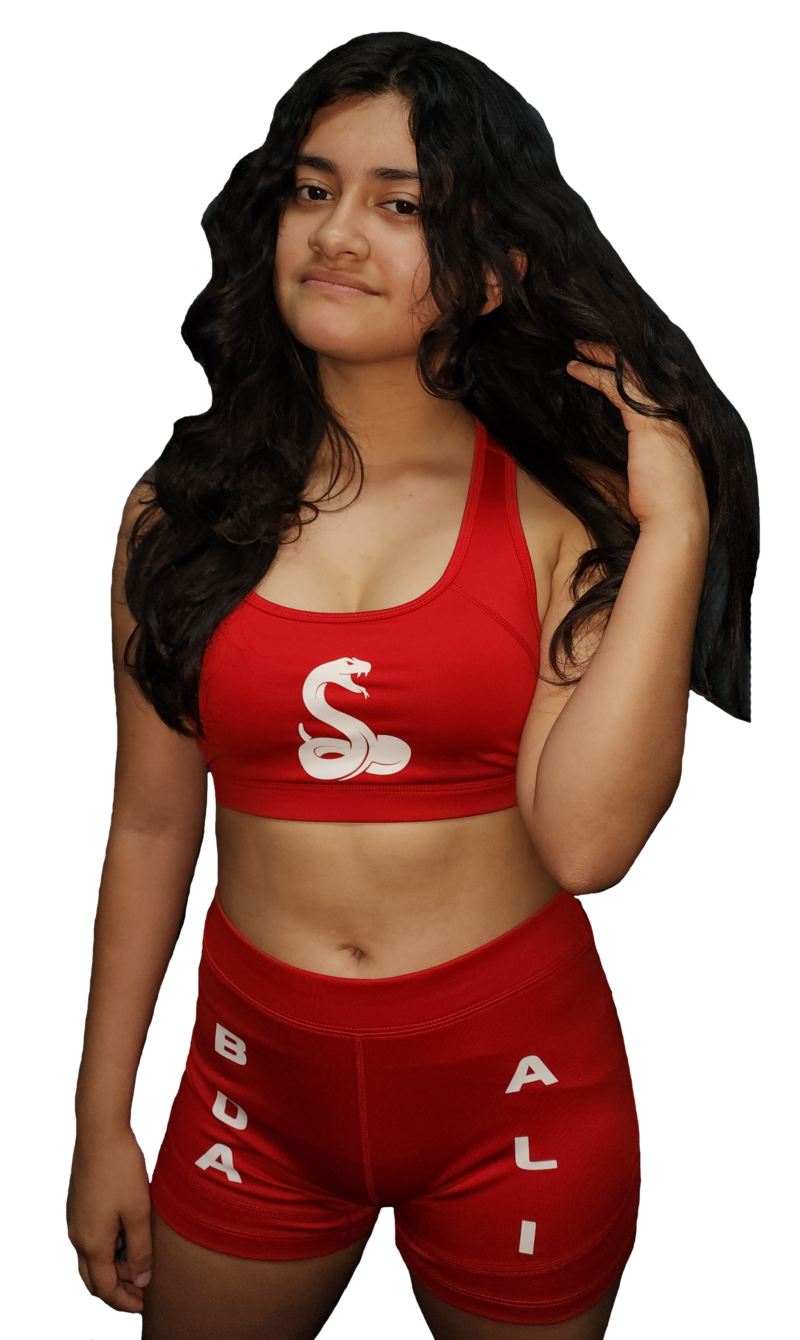 Pro Wrestling Shows To Slamdown At The 38th Annual Space Coast State pro-wrestling-shows-to-slamdown-at-the-38th-annual-space-coast-state